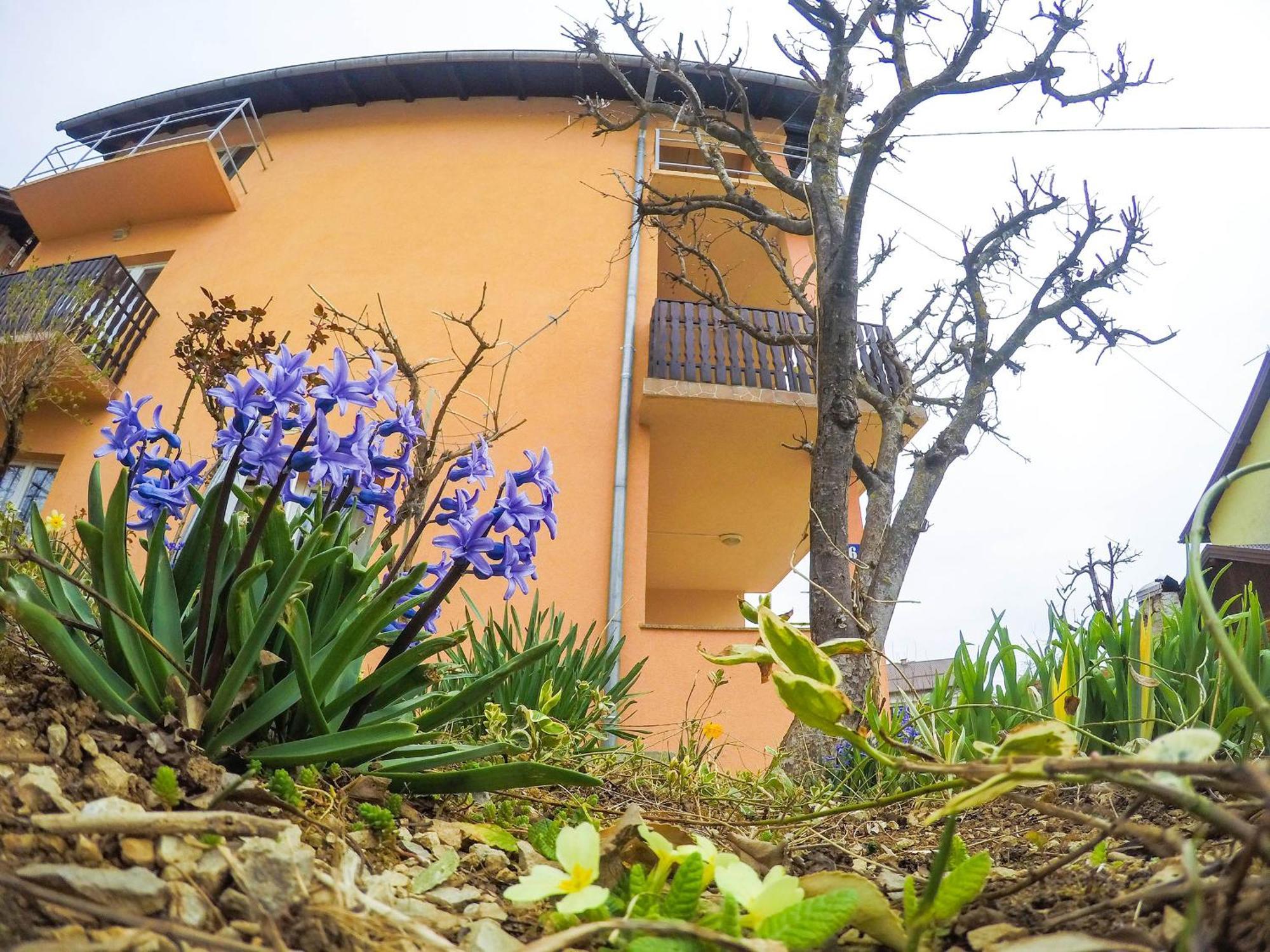 Apartment Katarina Slunj Zewnętrze zdjęcie